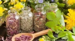 Troul de troiector rus din partea paraziților