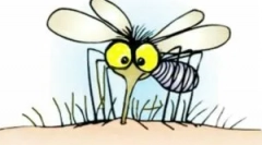 Descărcări eficiente de țânțari