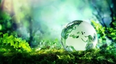 Ecosistem: componente, structură, lanțuri de putere