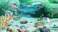 Evoluția vieții sălbatice