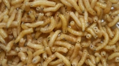 Pe măsură ce muștele de carne de larvă sunt tratate răniți?