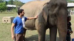 Cum a îmblânzit elefantul asiatic