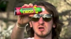 Cum să aduceți puricii de acasă în apartament