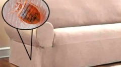 Cum să aduci bug-uri de pe canapea