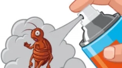 Cum să aduci puricii de pământ de acasă?