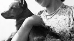 Ce rasă de câine în regina engleză