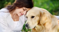 Ce rase de câini se vor potrivi diferitelor semne zodiacale