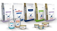 Ce hrană este mai bună: proplan sau regal kanin?