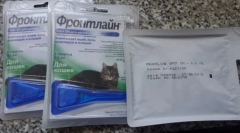 Picături de la purici și căpușe pe pisicile căsătorite