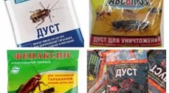 Instrumente chinezești de la gandaci