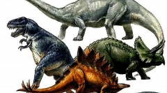 Clasificarea dinozaurilor
