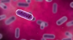 Cage - unitate genetică de viață