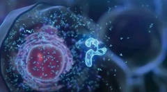 Celula - baza vieții