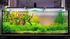 Compresor pentru acvariu cu mâinile tale: instrucțiuni de fabricare pas cu pas