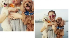 Porecle coreene pentru câini: opțiuni interesante cu semnificație