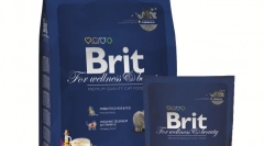 Cat food brit: recenzii și recomandări ale medicilor veterinari