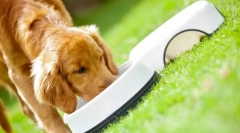 Purina pro plan de hrană pentru câini: clasa premium gata