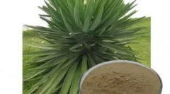 Feed wahre liebe - calitatea germană în primă primă și holistică