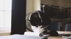 Cat a fost spălat: toate valorile