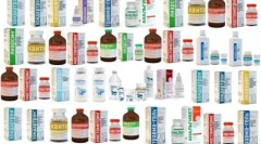 Coperți pentru pisici: recomandări de aplicare