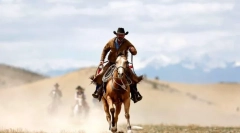 Care sunt astfel de cowboy?