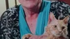 La perm: caracteristicile pisicilor curly