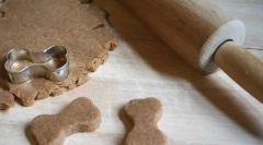 Parehomas pentru câini (5 rețete pentru fiecare gust)