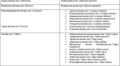 Fox - descriere, specii în care locuiește