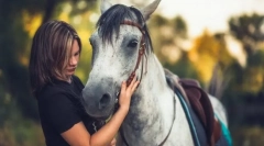 Cai pentru petrecere a timpului liber