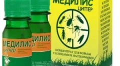 Medilis cup și utilizarea sa de la insecte