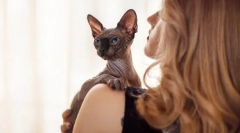 Cutie sau sărat: ca aspectul pisicii pentru a determina caracterul