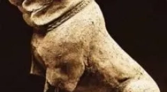 Molossa - cine sunt: prezentare generală a câinilor