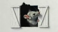 Șoareci în pereții unei case din lemn și de înclinare