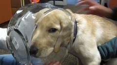 Cele mai frecvente accidente