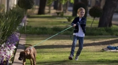 Trăgând și lesa jerk