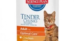Cat food review trainer