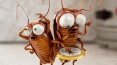 Descrierea și construirea de gandaci