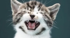 Buza inferioară inferioară la cota: cauze și metode de tratament