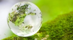 Conceptele de bază ale ecosistemului