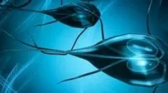 Principalele simptome ale lambiozei