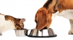 Caracteristicile clasei de clasă holistic