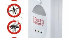 Clebop-uri de discrete: specii și modele populare