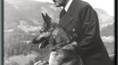 Daufman shepherd: cine este ea