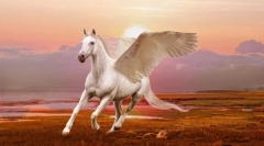 Pegasus