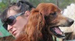 Tatăl din publicitate chappi: ce sa întâmplat cu câinele legendar