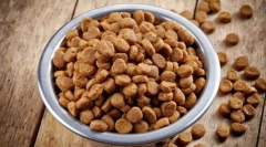 Argumente pro și contra de hrană uscată