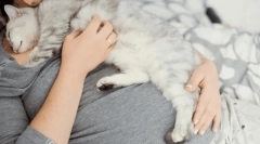 De ce pisica cade pe om?