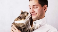 De ce pisicile ca mirosul de sudoare?