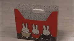 De ce pisicile iubesc cutiile?