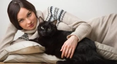 De ce femeile singure sunt pisici de reproducere